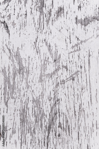 Grunge wood wall pattern. The white wood texture with natural patterns.