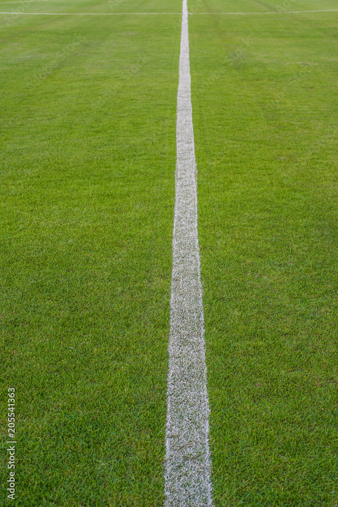 Soccer field or football field background.