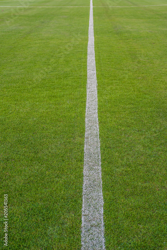 Soccer field or football field background.