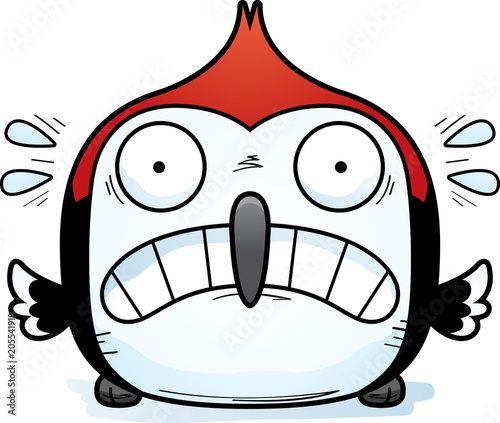Scared Little Woodpecker