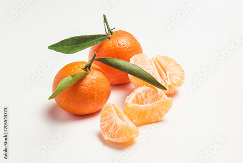 mandarine tree isolated on white background
