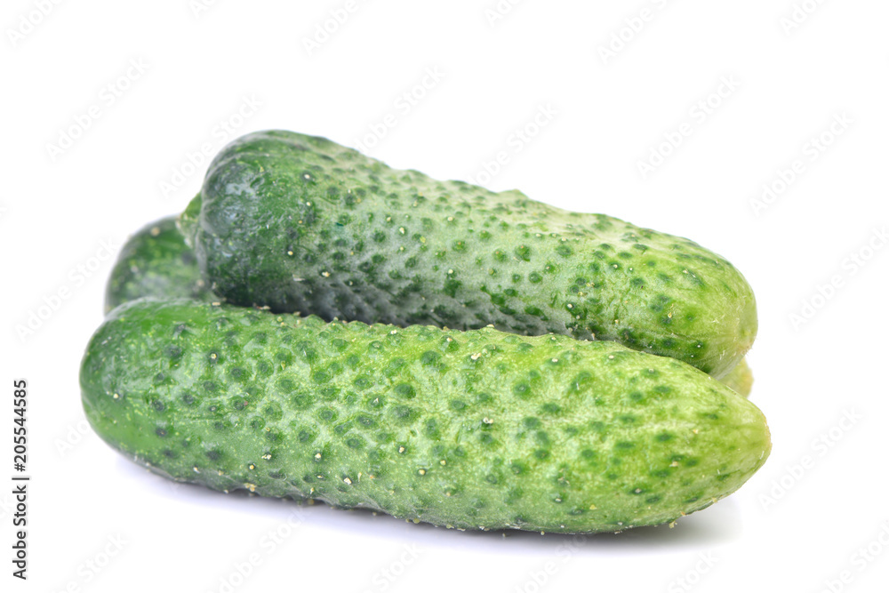Fresh cucumber Fresh cucumber