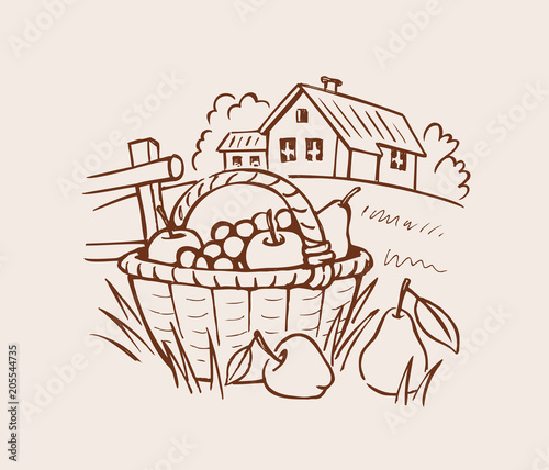 Farm fruit basket on grass