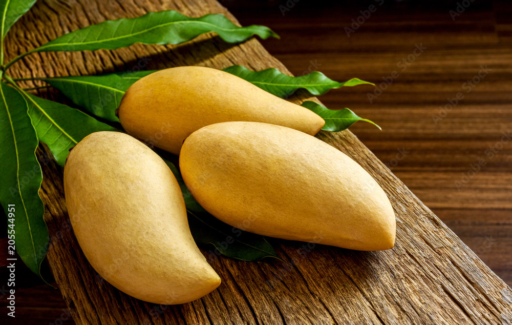 Fresh and ripe mango fruits from the farm with mango leaves and wooden plank as background. Fresh and ripe mango fruits from the farm with mango leaves and wooden plank as background.