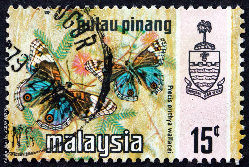 Naklejka premium Postage stamp Malaysia 1971 Blue Pansy, Butterfly