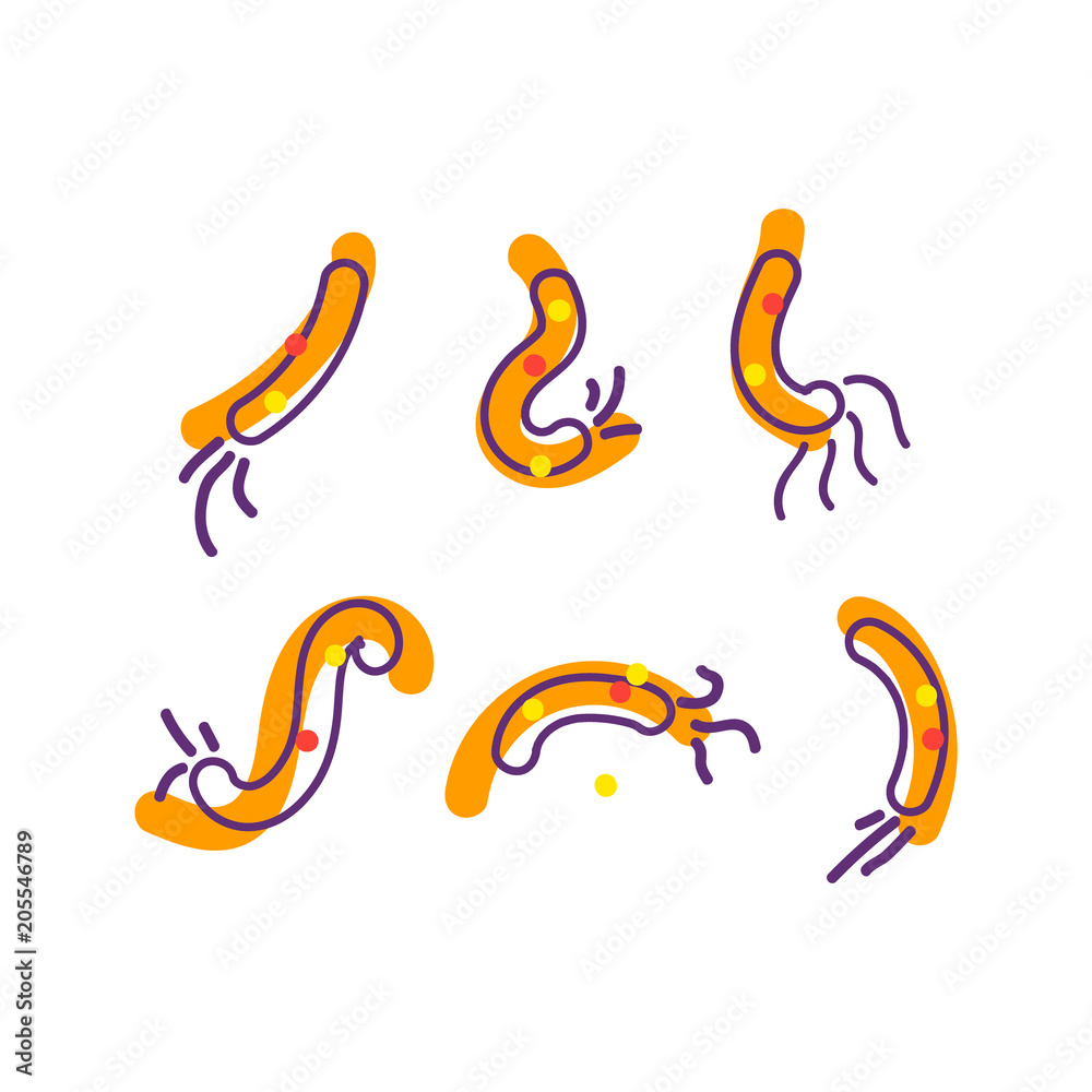 Bacteria and germs colorful set Bacteria and germs colorful set