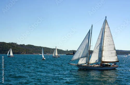 Sailboat with open sails cruising over choppy water in Sydney Harbor, Australia
