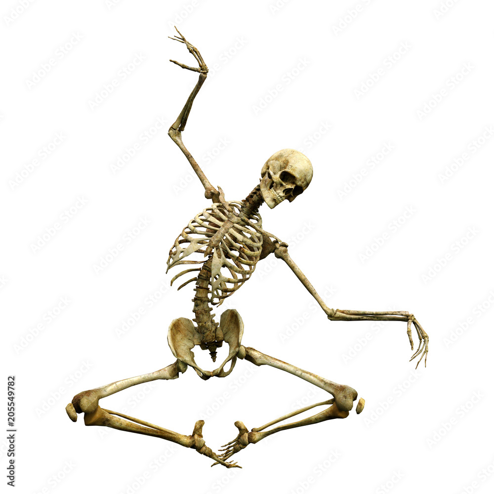 3D Rendering Human Skeleton on White 3D Rendering Human Skeleton on White