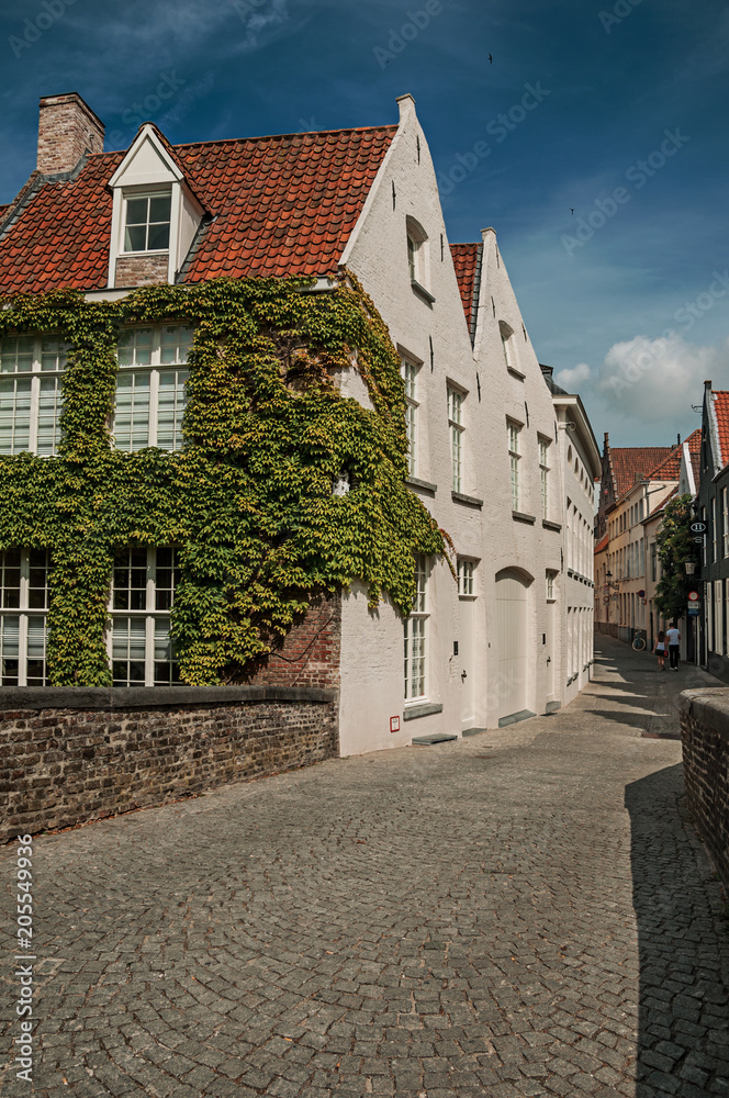 Bridge and brick buildings with creeper on the canal's edge in a sunny day at Bruges. With many canals and old buildings, this graceful town is a World Heritage Site of Unesco. Northwestern Belgium.