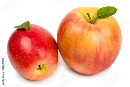 Red apples isolated on white background
