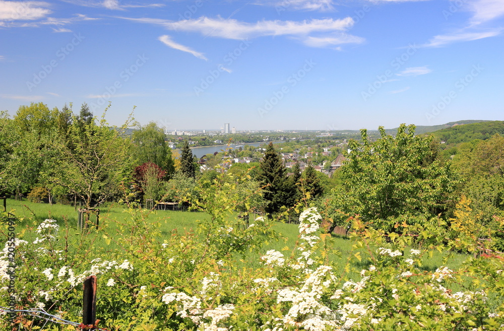 View of Bonn and the Rhine River. Germany. View of Bonn and the Rhine River. Germany.
