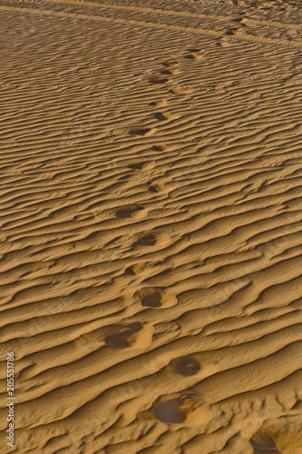 Spuren im sand