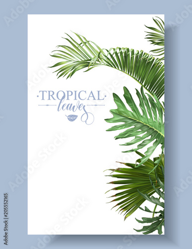 Tropical leaf border