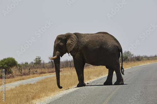 Botswana Namibia Simbabwe