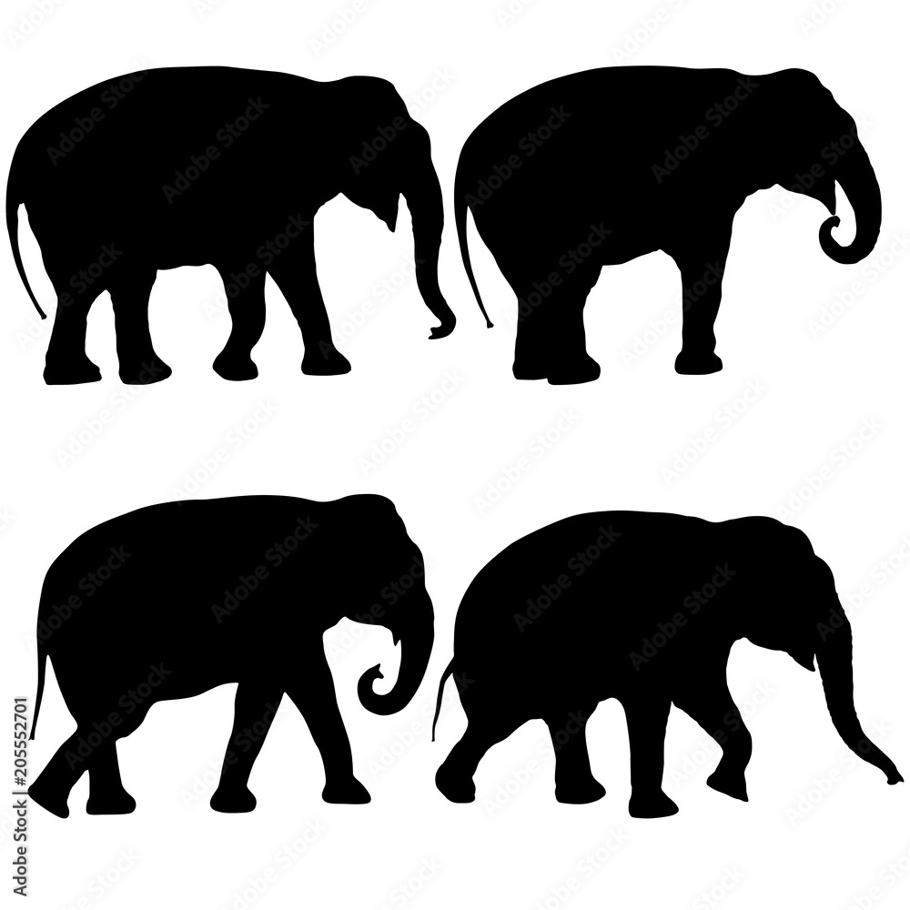 Set Silhouette large African elephant on a white background