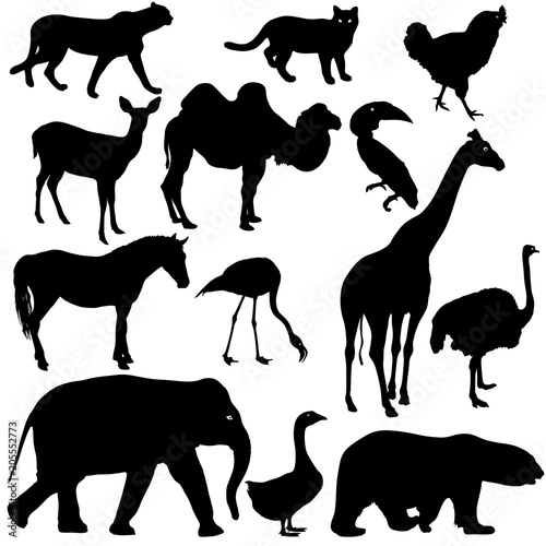 Silhouette elephant tiger bear giraffe flamingo pelican goose on a white background photo