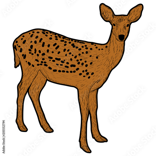 Silhouette of the deer on a white background