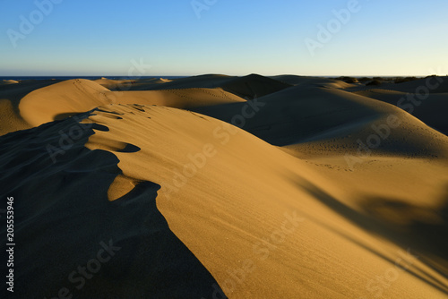 Dune Maspalomas  Gran Canaria