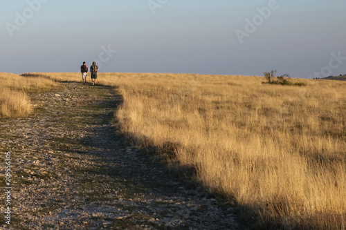 Deux randonneurs sur un sentier durant un ciel d’automne 