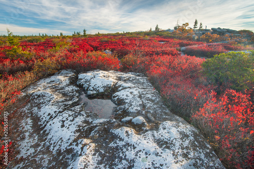 Dolly Sods West Virginia