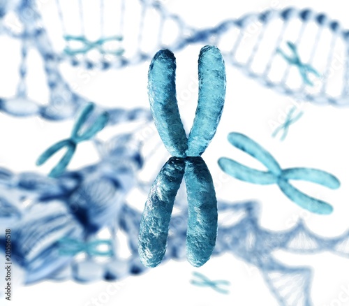 X chromosome and DNA,
3D rendering
