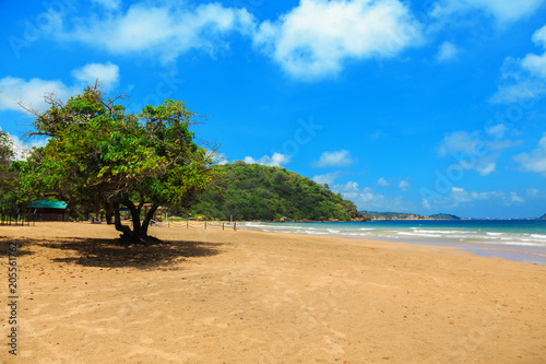 Empty tropical beach. Marble bay, Sri Lanka © Sandra