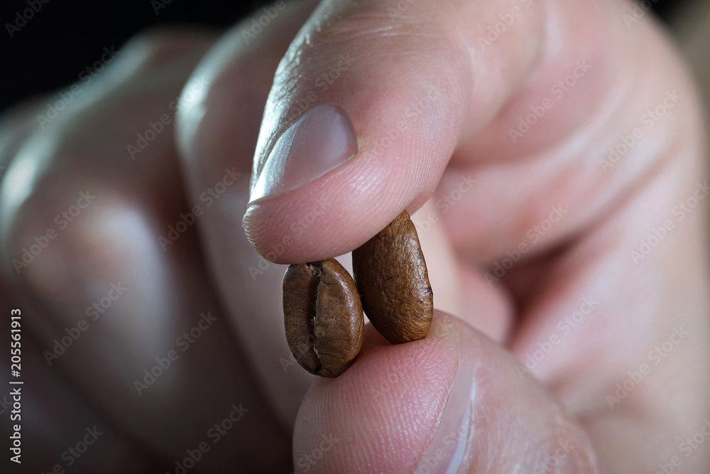 Coffee grains by close up in the hand of man.