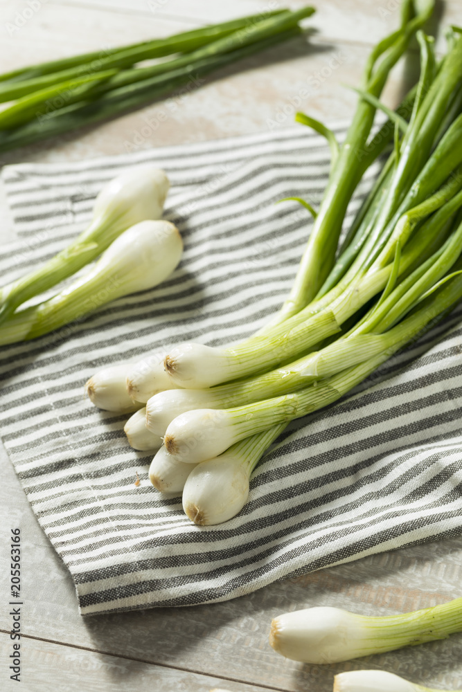 Raw Green Organic Spring Bulb Onions Raw Green Organic Spring Bulb Onions