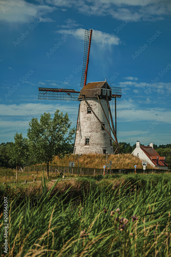 Old windmill next to canal with bushes and grove in the background in the late afternoon light and blue sky, near Damme. A quiet and charming countryside old village near Bruges. Northwestern Belgium.