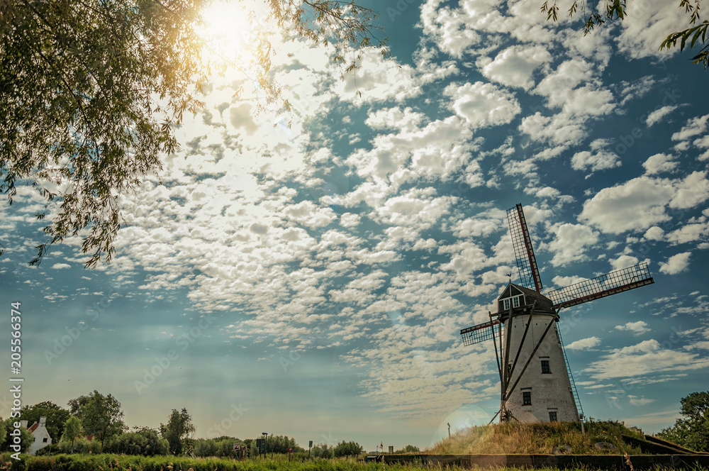 Fototapeta premium Old windmill next to canal with bushes and grove, sunlight and blue cloudy sky, near Damme. A quiet and charming countryside old village near Bruges. Northwestern Belgium. Retouched photo