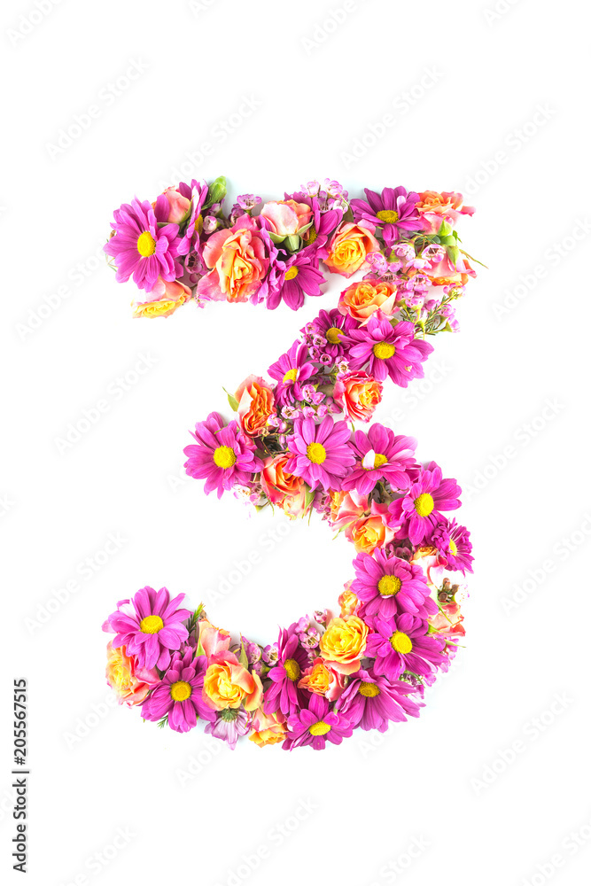 letters and numbers made from live flowers isolated on white background, make text with flowers alphabet, exclusive idea for graphic letters and numbers made from live flowers isolated on white background, make text with flowers alphabet, exclusive idea for graphic