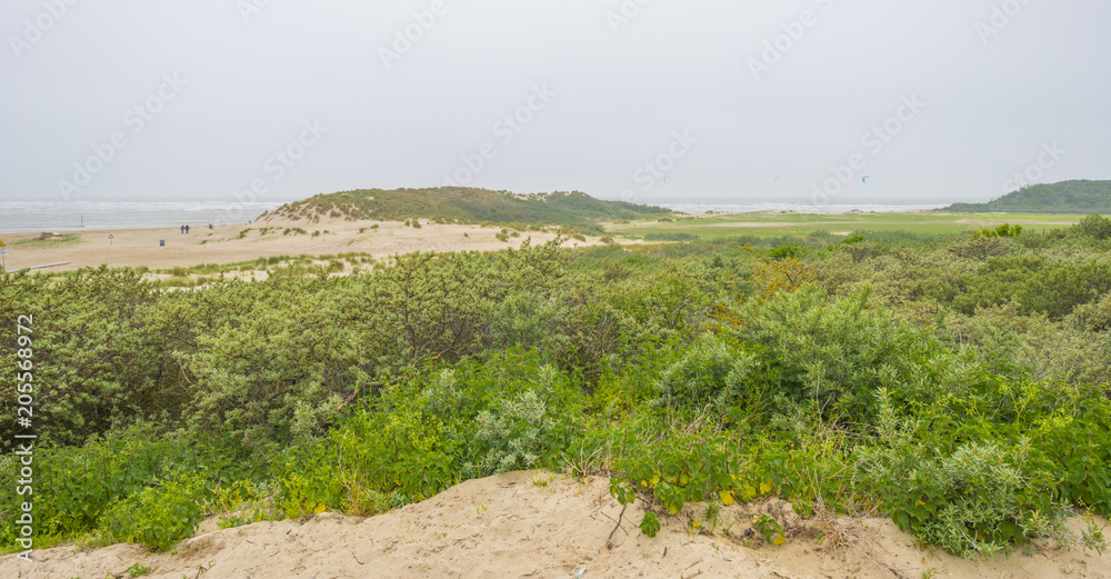 Recreational beach along the North Sea viewed from a dune in spring