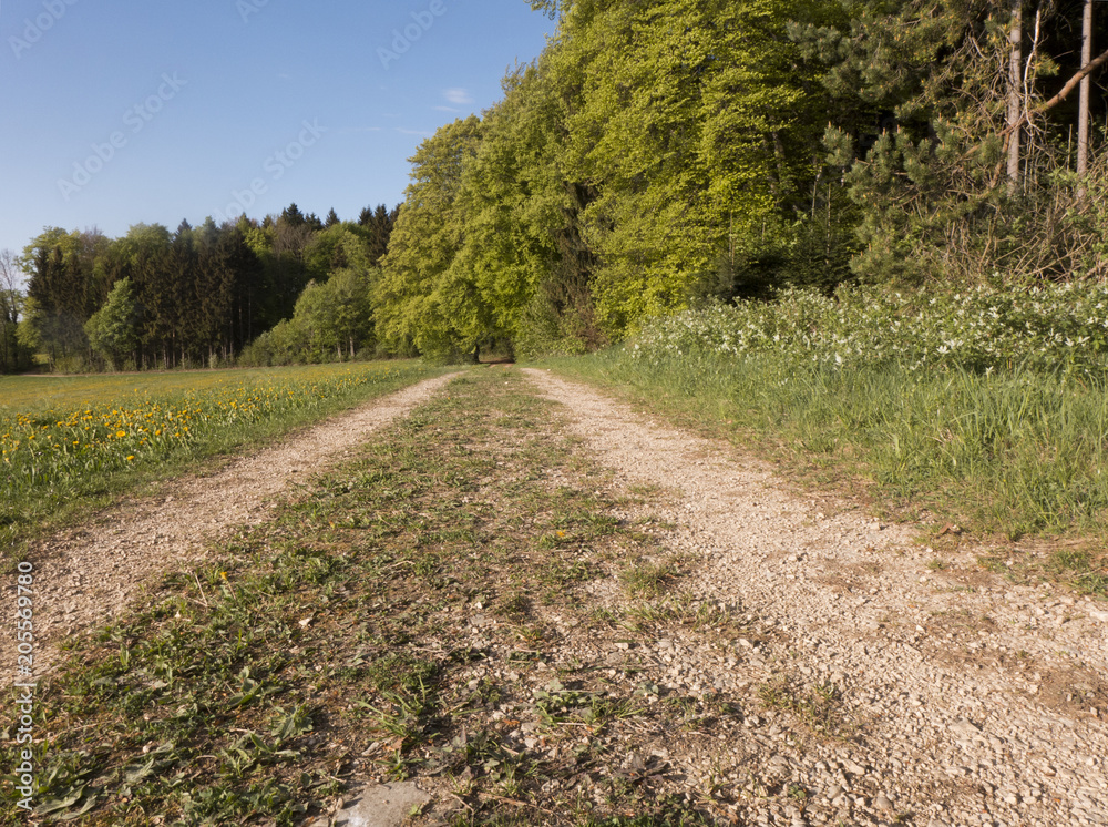 Ein Wanderweg entlang von Wiesen und am Waldrand entlang.
