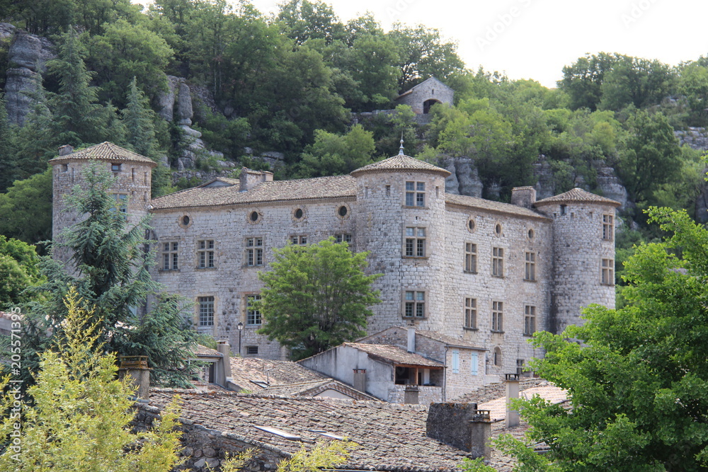 Château de Vogüe