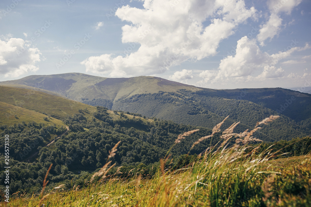 beautiful mountains hill landscape with blue sky and clouds. amazing view at grass, wildflowers, trees on mountain. travel and wanderlust concept.