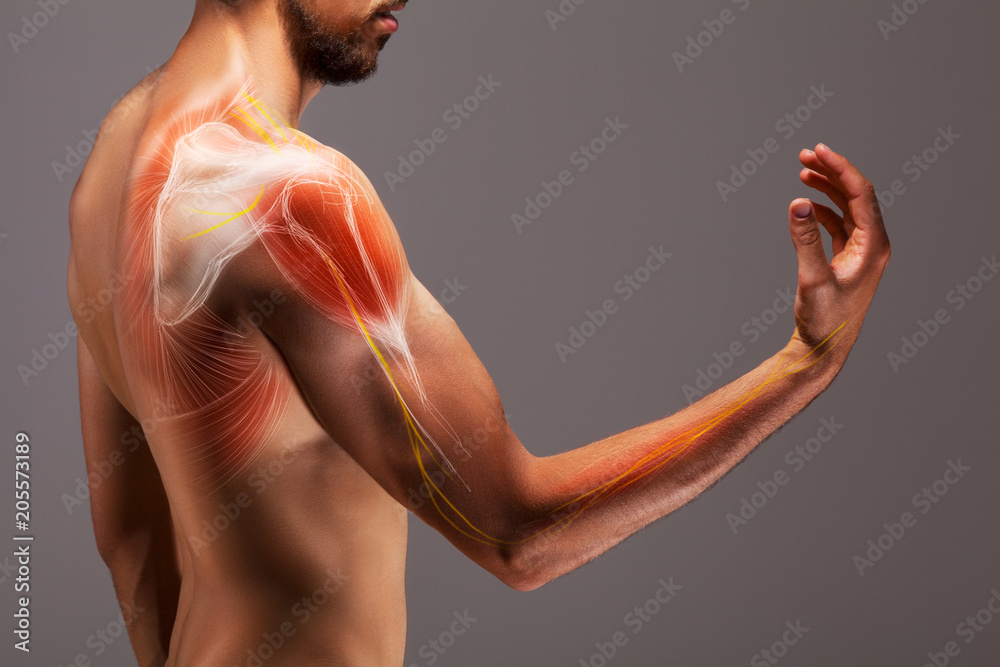 Man with extended arm. Illustrated representation of the tendon