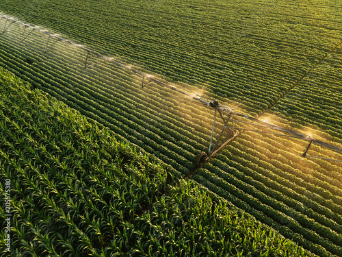 Aerial view of irrigation equipment watering green soybean crops