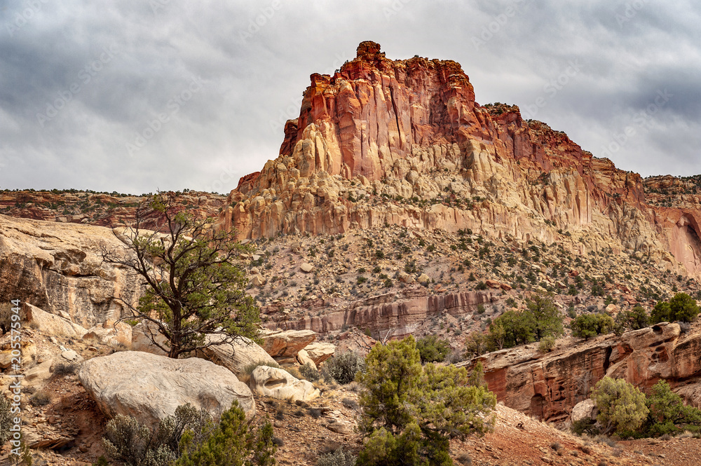 Capitol Reef Desert Landscape. The incredible sandstone geological formations feature layers of golden sandstone, canyons and striking rock formations.Capitol Reef National Park, Utah, USA. 