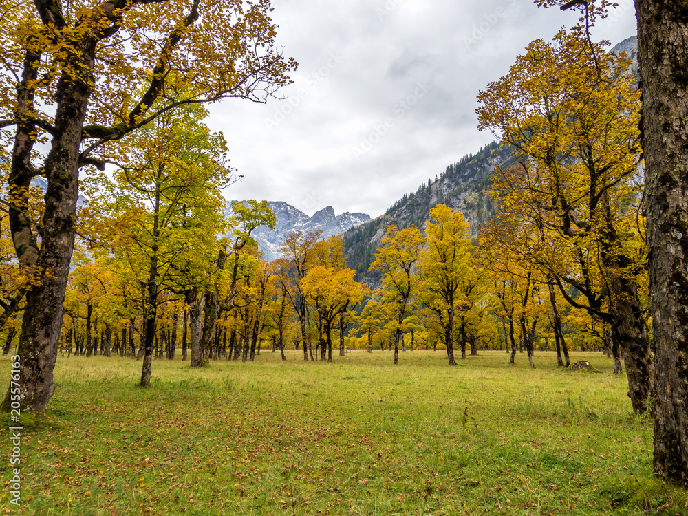 Fototapeta premium Österreich - Tirol - Großer Ahornboden