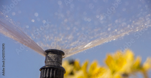 Clever garden with a fully automatic irrigation system, water azaleas. photo