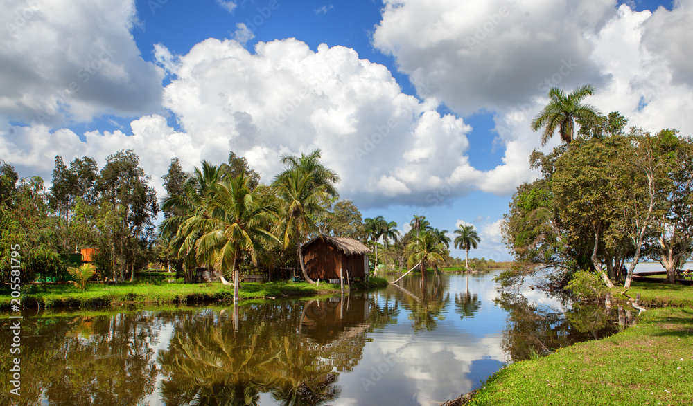 Cuban village on the river, panorama