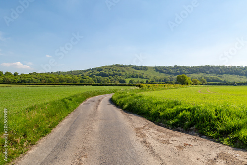 A Country Road in Sussex