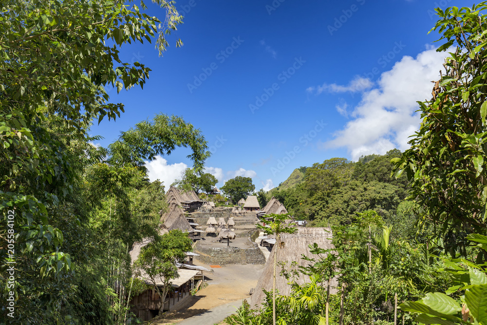 Fototapeta premium Lush vegetation at the entrance to the Bena traditional village in East Nusa Tenggara, Indonesia.