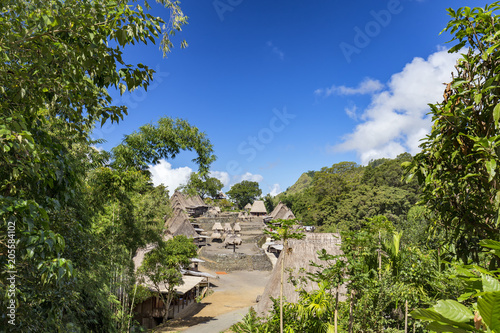 Lush vegetation at the entrance to the Bena traditional village in East Nusa Tenggara, Indonesia.