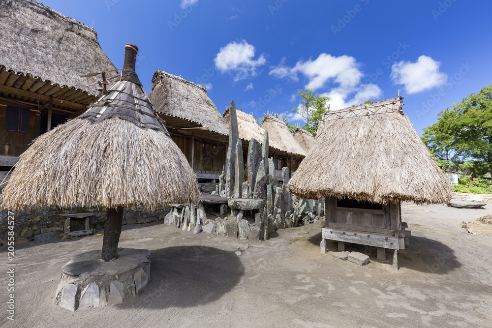 Various tradtional structures in the Bena traditional village in Flores, Indonesia.