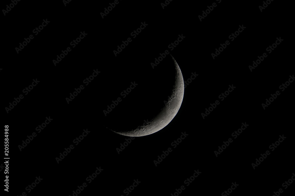Moon Moon