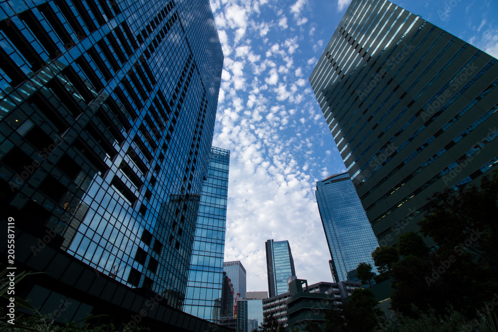 東京都ｰ都市風景 夏空の下のビル Stock Photo Adobe Stock