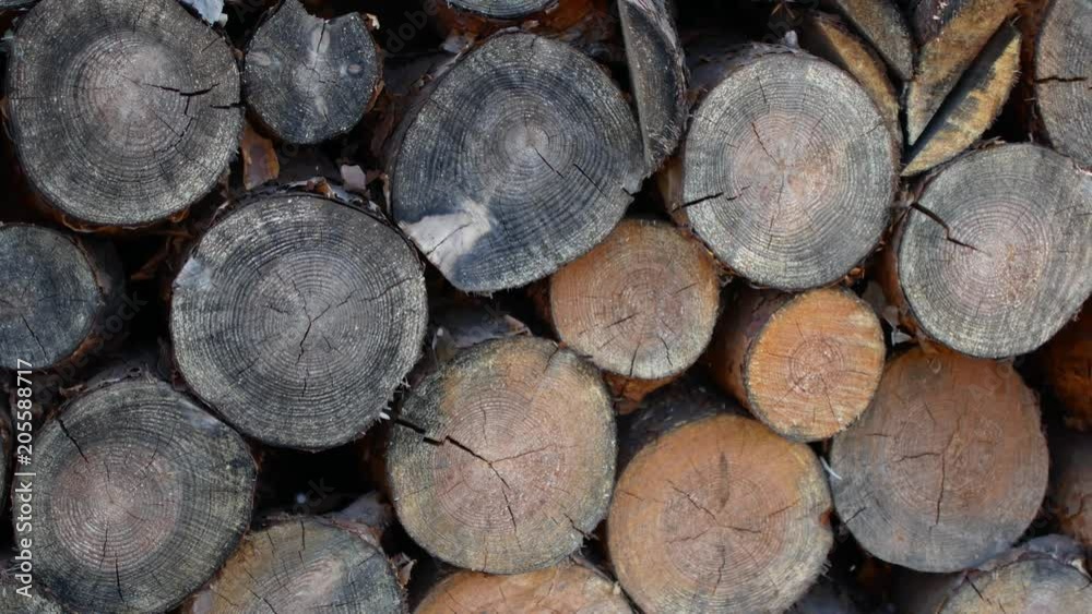 Chopped birch firewood. A pile of firewood. Woodchopping. Shredded and stacked wood. Chopped birch firewood. A pile of firewood. Woodchopping. Shredded and stacked wood.