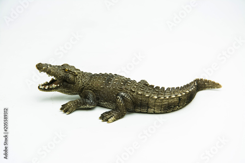 crocodile on white background © meen_na