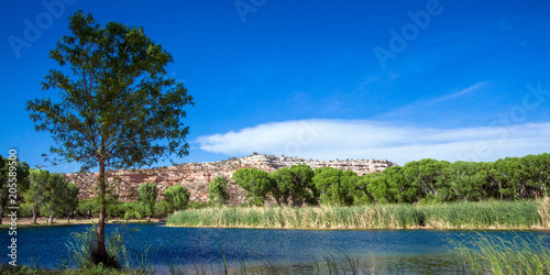 Ultrawide panorama of the lagoon, marsh, trees, and cliff at Dead Horse Ranch State Park, with water from the Verde River